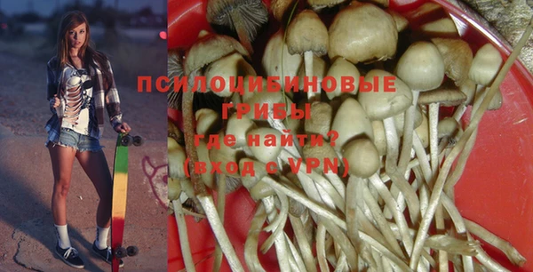 гидра Алексин