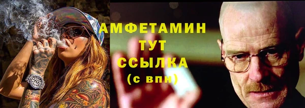 гидра Алексин