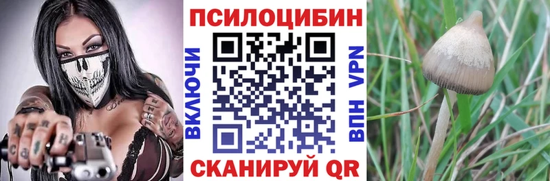 Галлюциногенные грибы ЛСД  Агидель 