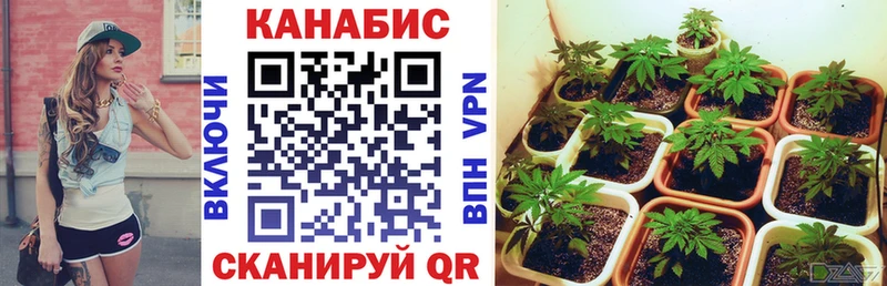 Шишки марихуана марихуана mega ТОР Агидель
